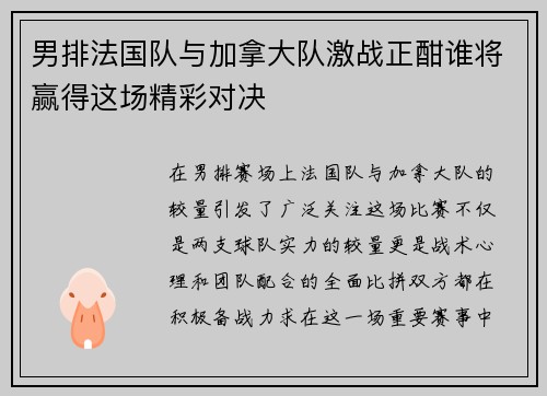 男排法国队与加拿大队激战正酣谁将赢得这场精彩对决